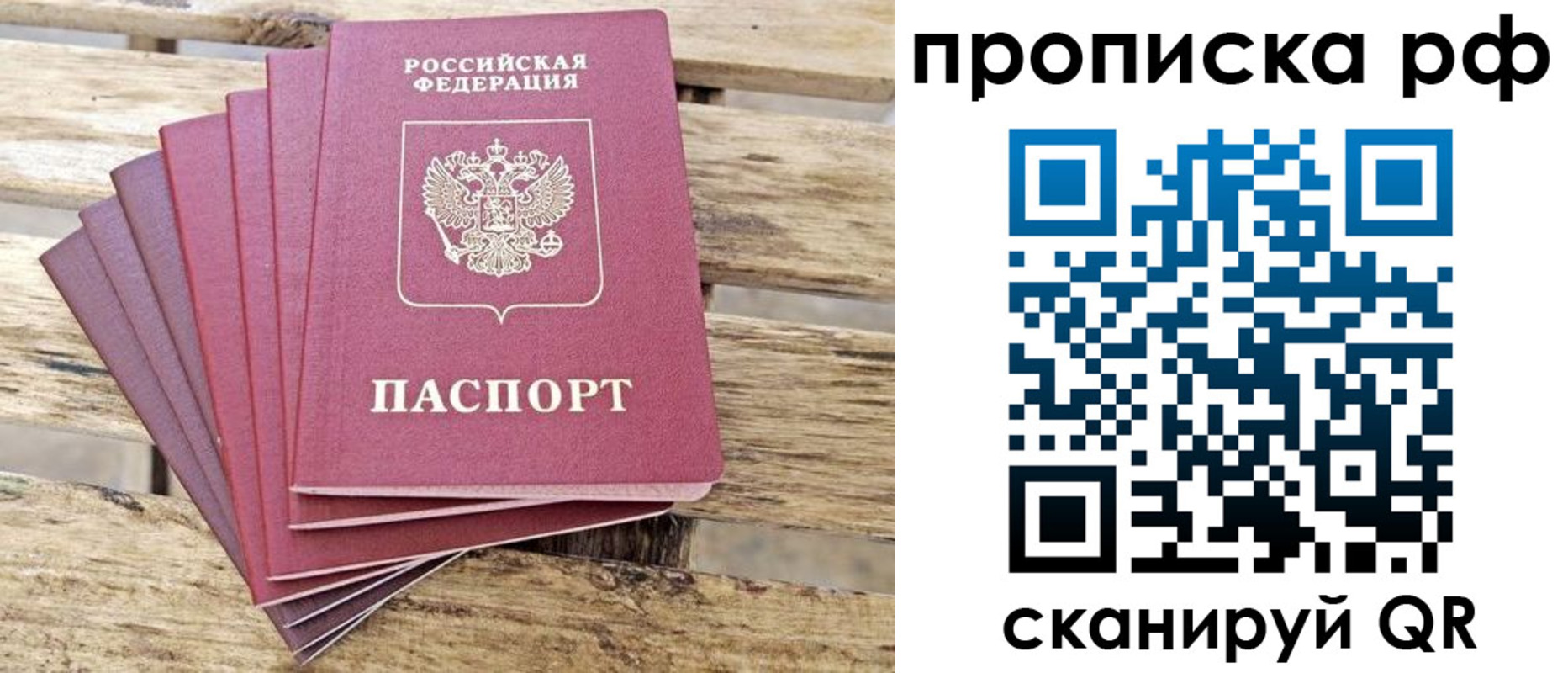 прописка гарантия в Волгоградской области